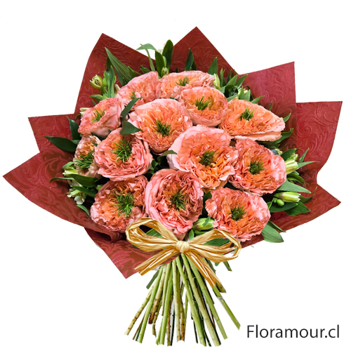 Exclusiva variedad de rosas inglesas (Textura y aspecto similar a Peonia o Ranúnculo) Ramo de flores atadas envueltas en papel decorativo. Tonalidad puede variar según importación.